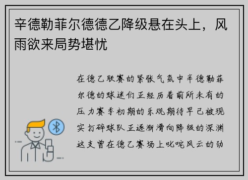 辛德勒菲尔德德乙降级悬在头上，风雨欲来局势堪忧